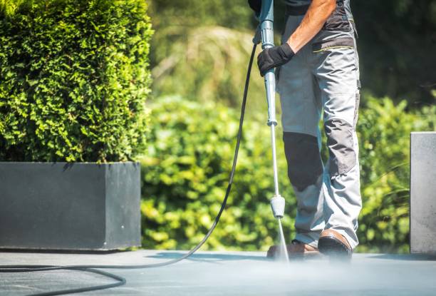 Best Sign and Awning Cleaning  in Lenoir, NC